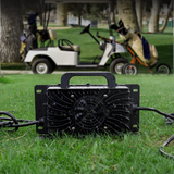 LN1200G Lifepo4 Battery Charger