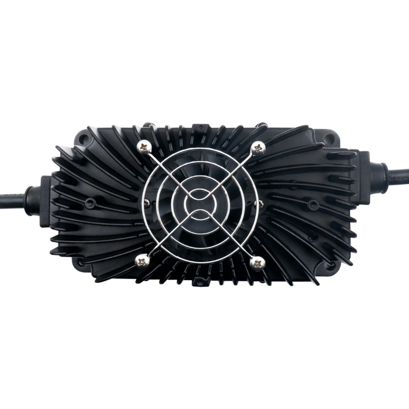 LN600G Lifepo4 Battery Charger