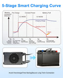 LN800W Lifepo4 Battery Charger