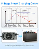 LN1500W Lithium Ion Battery Charger